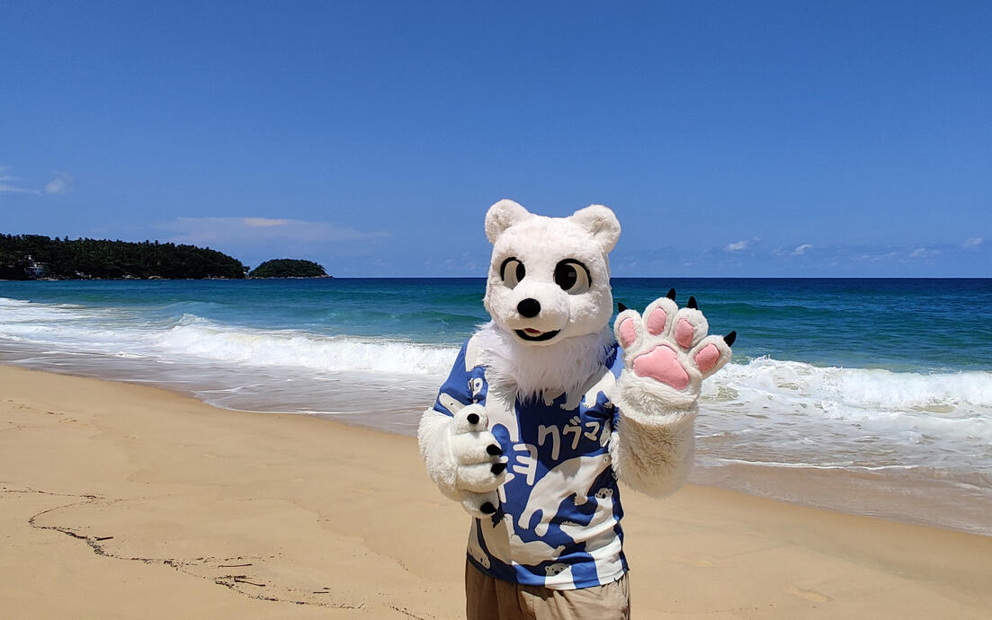 A Wave At The Beach